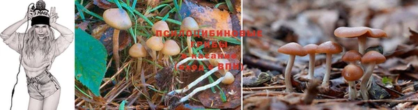 соль курить ск Аркадак