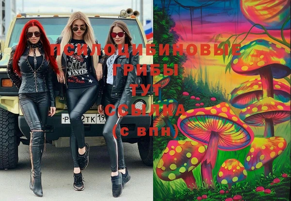 амф Осинники