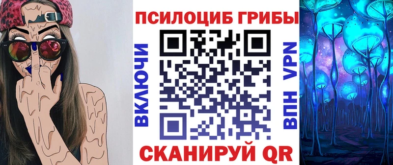 kraken онион  что такое   Островной  Псилоцибиновые грибы Psilocybe 